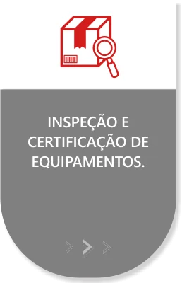 inspeção